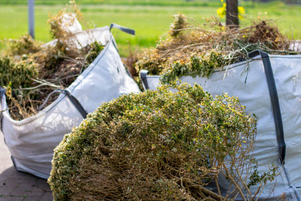 Best Yard Cleanup Services  in Wagener, SC